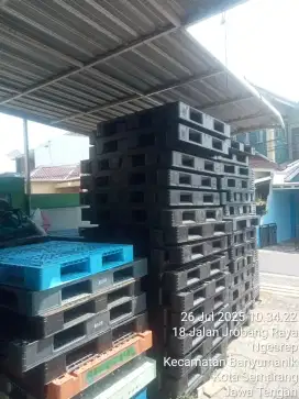 Palet plastik Ayah pallet semarang