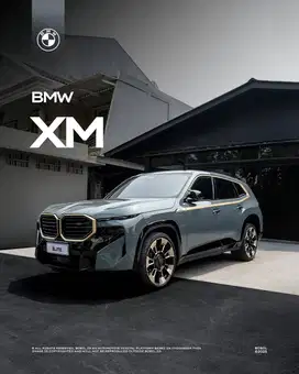 2023 BMW XM Cape York Green Metallic