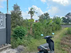 Tanah 256m2 Murah, cocok untuk investasi