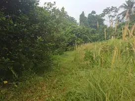 Kavling SHM Terjangkau Mulai Rp 1.578.000/m² – 8 Menit ke Tol Burangke