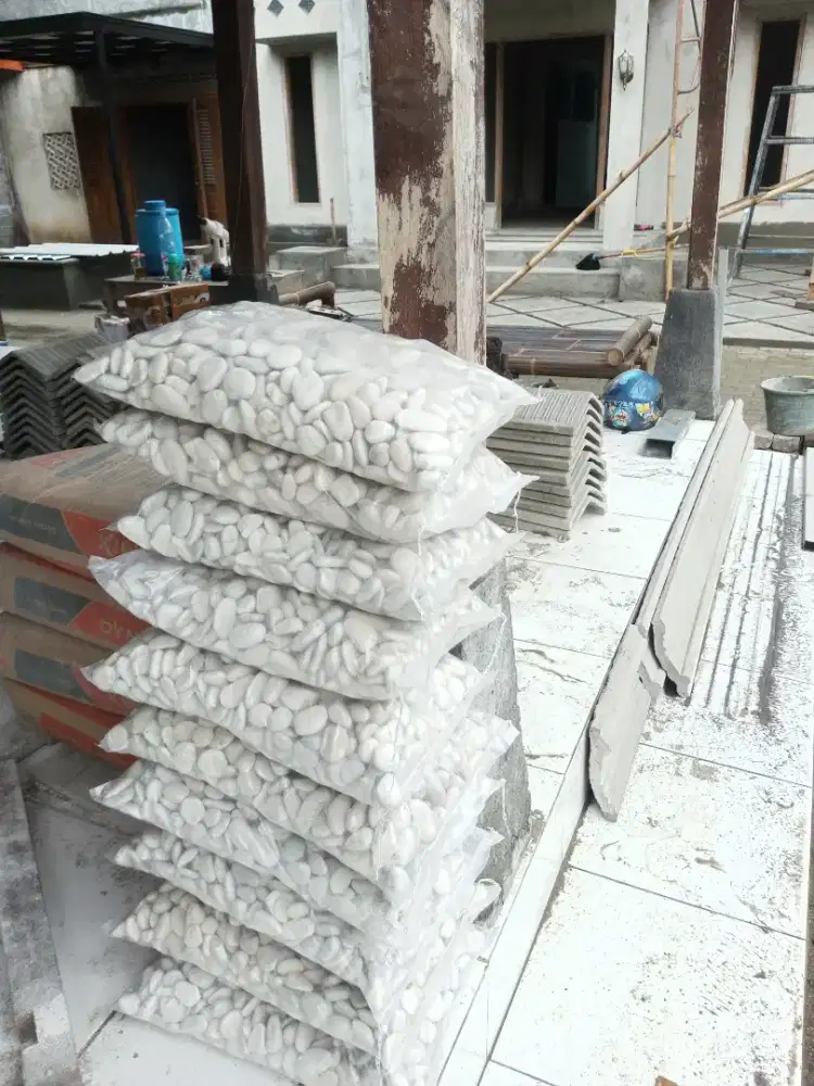 Koral Putih Kupang