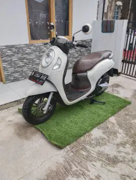 Scoopy pristige 2022