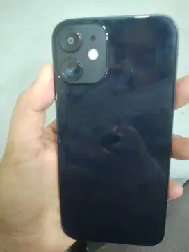 ip 12 mini wifionly
