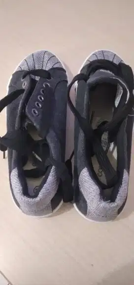 Sepatu kanvas merk colorbox
