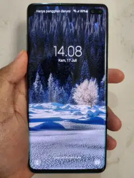 Samsung Galaxy S10 Plus SEIN