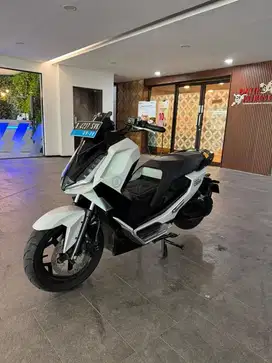 ALVA CERVO 2023