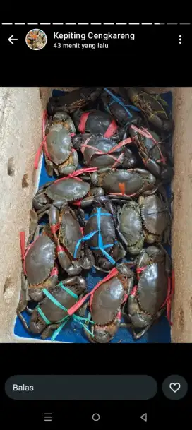 Warung seafood  teluk gong