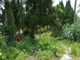 JUAL TANAH KOSONG SHM PAKEM
