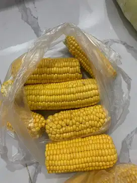 Jagung manis dari kebun