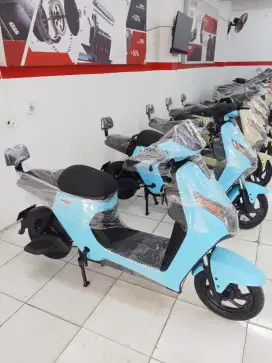 Sepeda listrik D65 u winflay
