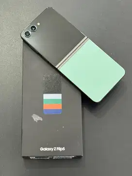 Samsung Z Flip 5 5G Green 8/512Gb (SEIN)