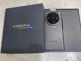 Vivo X100 Pro 5G Black 16/512Gb