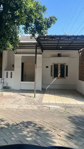 Rumah siap huni nyaman dua lantai , selangkah ke jalan Gajah Semarang