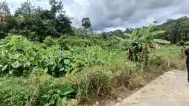 DIJUAL TANAH PINGGIR JALAN COR PERUMAHAN LOKASI KM 12