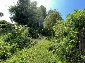 Di JUal Tanah Kosong MUnduk
