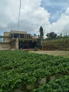 Rumah villa bagus siap huni view pegunungan di Rancabali Ciwidey Bandu