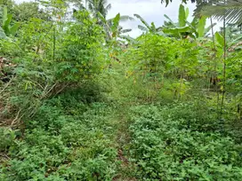 Tanah Murah 570m2 daerah jl Naga Sakti Panam Pekanbaru