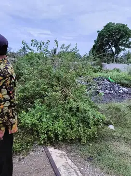 Dijual cepat tanah di Ciangir legok