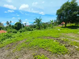 Di Jual Tanah Kemenuh Ubud View sunset