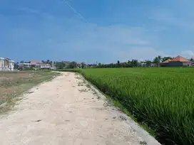 Tanah sewa siap bangun di jalan Pantai seseh Munggu Bali
