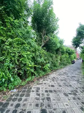 Tanah prime lingkungan villa di Savaya club ungasan