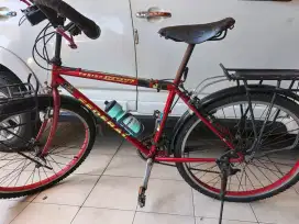 DIjUAL Sepeda FEDERAL Torino Terrain