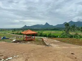 Kavling murah ready stok di area wisata Bogor