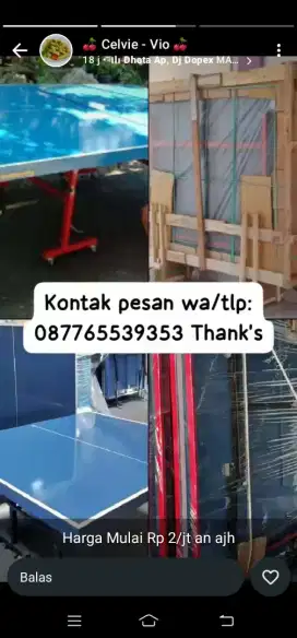 Tenis meja baru SNI wa