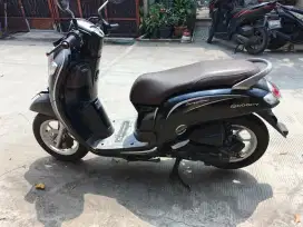 Scoopy 2019 terawat
