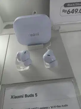 Xiaomi Buds 5 apt