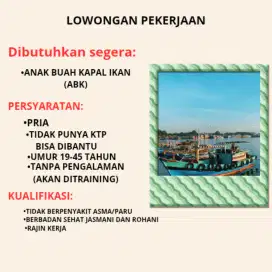 Lowongan kerjaan koja