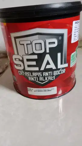 Cat pelapis bocor