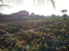 Wujudkan Passive Income dari Bisnis Kost! Kavling SHM di Dramaga IPB B