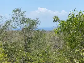 Tanah sewa dengan view laut