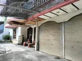 Rumah Kelapa Puyuh, Kelapa Gading