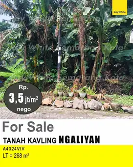 DIJUAL TANAH DI NGALIYAN A4324