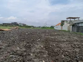 Tanah langka siap bangun