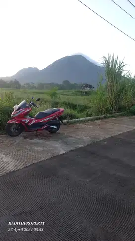 LAHAN  WISATA TRAWAS SHM VIEW GUNUNG