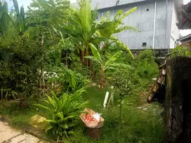 For Sale Tanah di MOnang - Maning