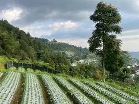 Tanah Cocok Dibangun Villa Kawasan Wisata Kemuning