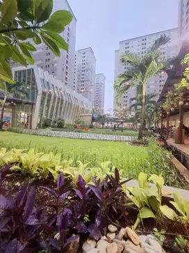 Dijual murah Apartemen Kalibata City , Resident Tower Borneo