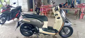 Honda Scoopy 2023