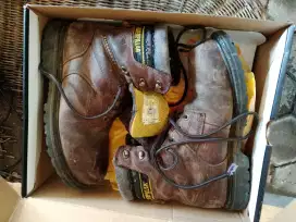 Caterpillar dark brown