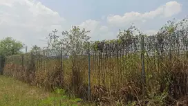 Kawasan Industri Mitra Karawang Tanah Kosong Tanpa Bangunan Dijual Lua