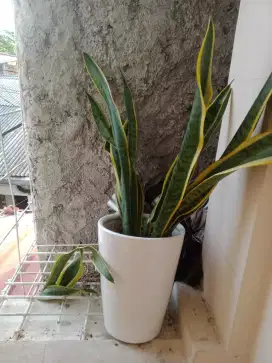 Vas bunga keramik