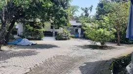 Rumah Kelurahan Kalisampurno Kec Tanggulangin Kab Sidoarjo