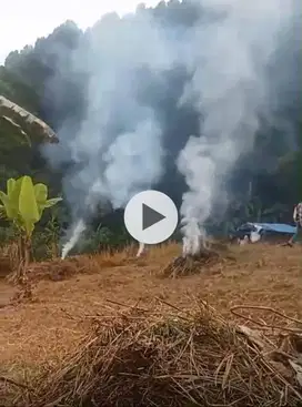 Tanah pinggir jalan dekat tanah Perhutani