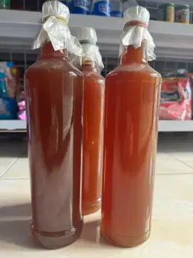 madu murni lebah hutan 100%