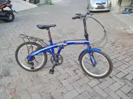 Seli Phoenix uk20