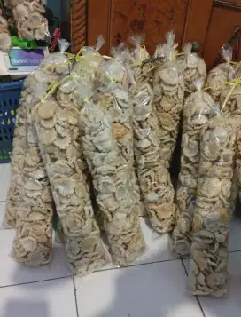 Kempelang Tunu mini asli ikan sungai